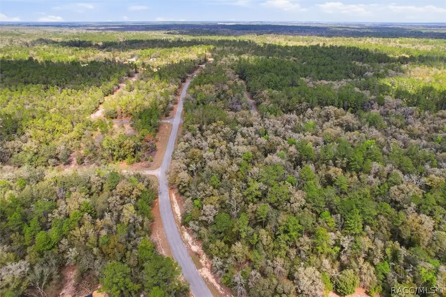 8987 N Alameda Drive, Dunnellon, FL 34434 - #3