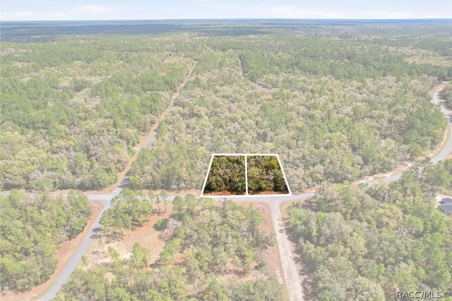 8969 N Alameda Drive, Dunnellon, FL 34434 - #3