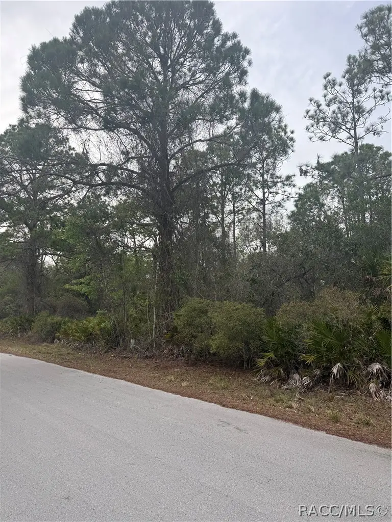 7725 W Mesa Lane, Homosassa, FL 34448 - #2