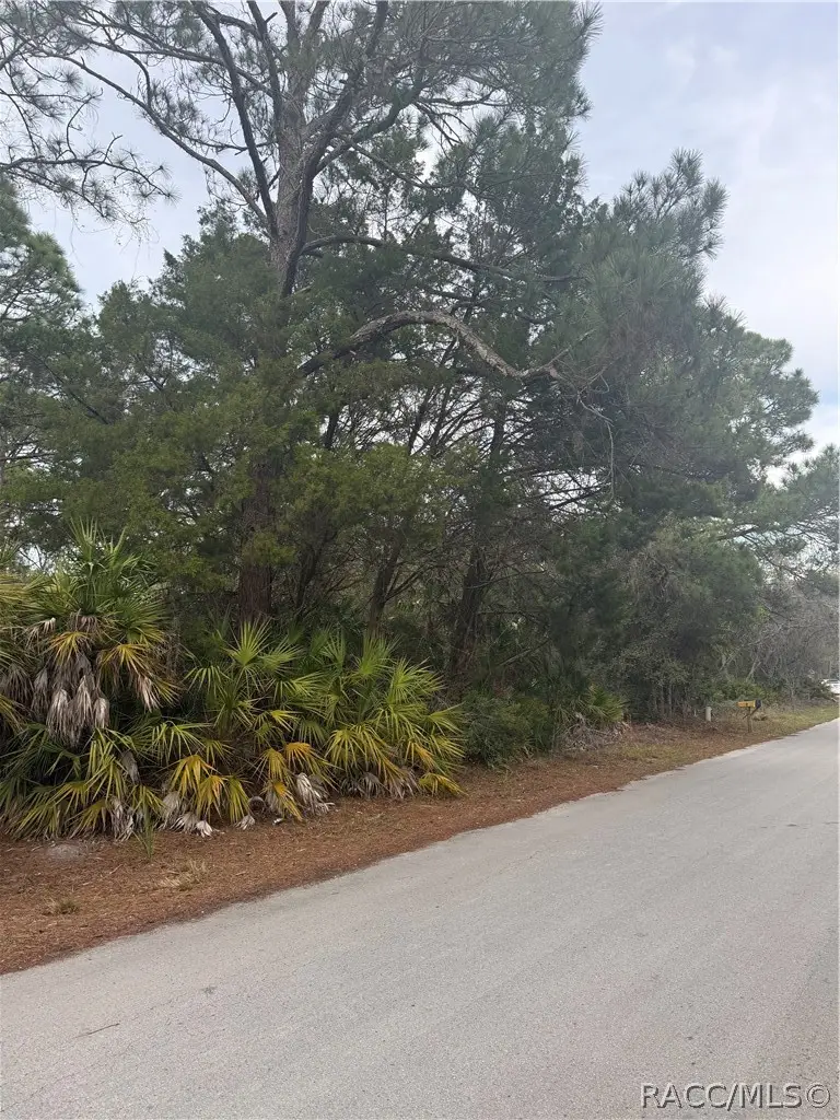 7725 W Mesa Lane, Homosassa, FL 34448 - #3