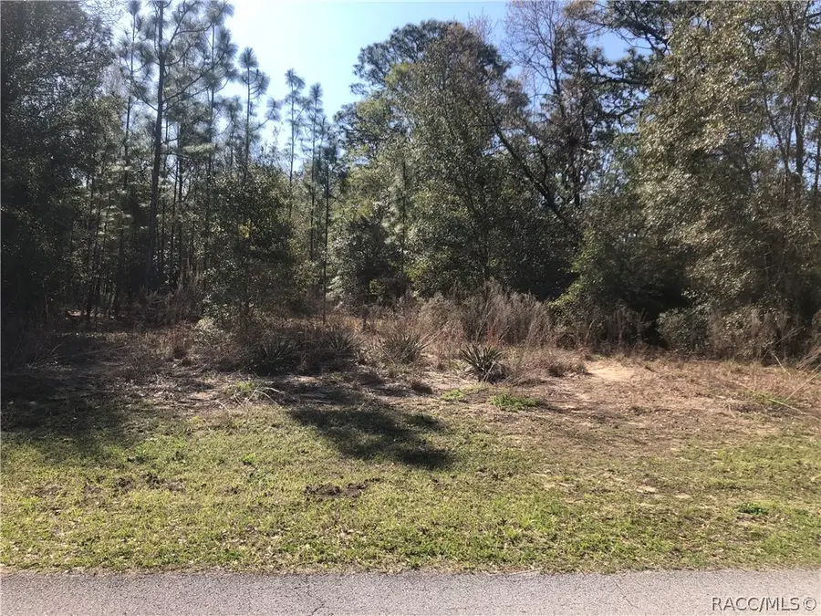 2004 W Huntington Drive, Beverly Hills, FL 34465 - #2