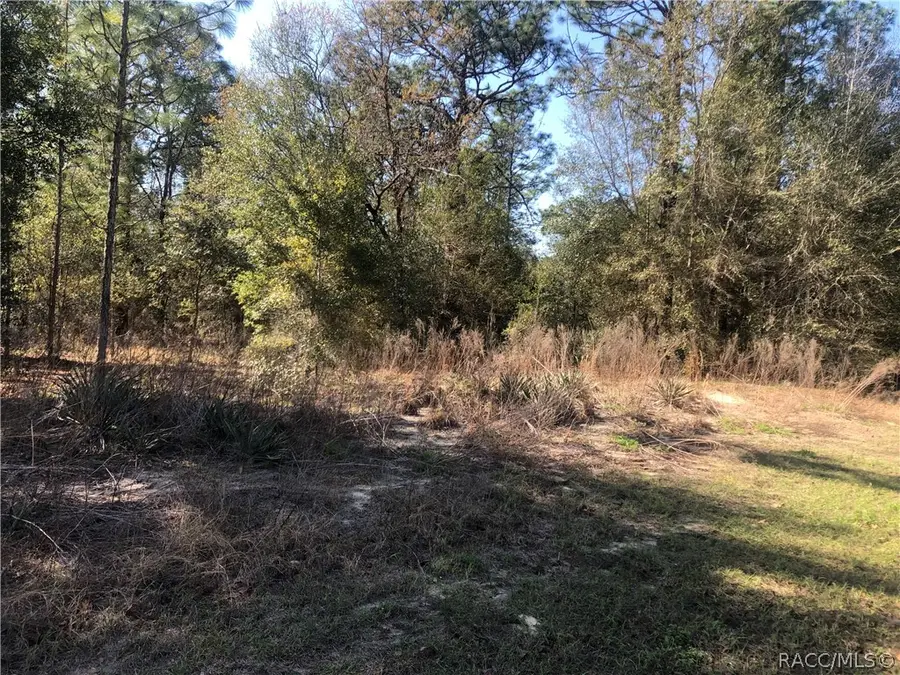 2004 W Huntington Drive, Beverly Hills, FL 34465 - #3