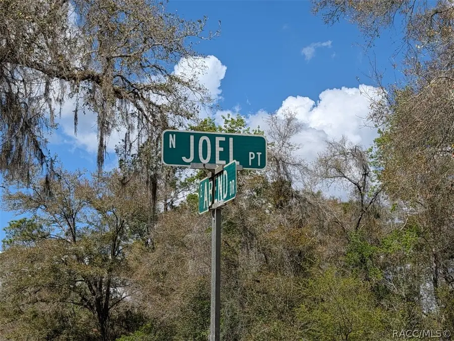 9933 N Joel Point, Dunnellon, FL 34434 - #2