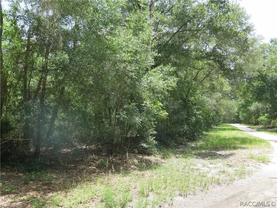 8205 W Kennedy Lane, Crystal River, FL 34428 - #3