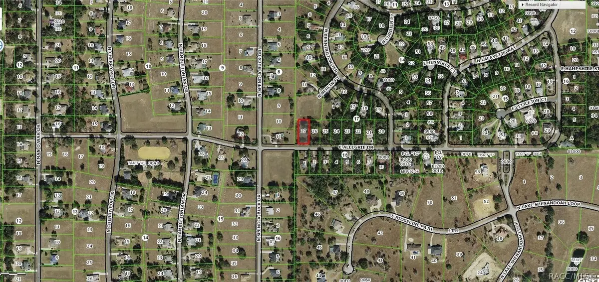 1429 E Allegrie Drive, Inverness, FL 34453 - #1