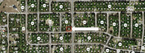 10920 N G Martinelli Boulevard, Citrus Springs, FL 34433