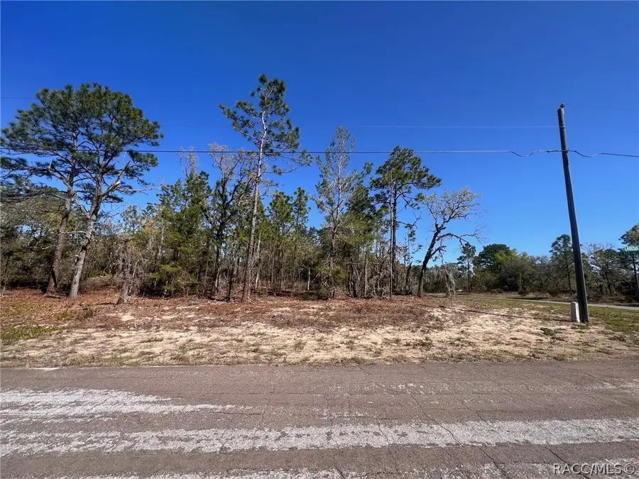 10920 N G Martinelli Boulevard, Citrus Springs, FL 34433 - #2