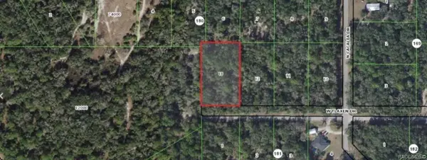 12989 W Flaxen Drive, Crystal River, FL 34428