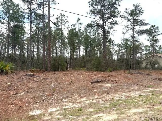 8865 N Lansen Way, Citrus Springs, FL 34433 - #3