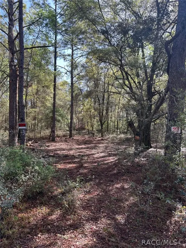 9315 N Lily Drive, Citrus Springs, FL 34434