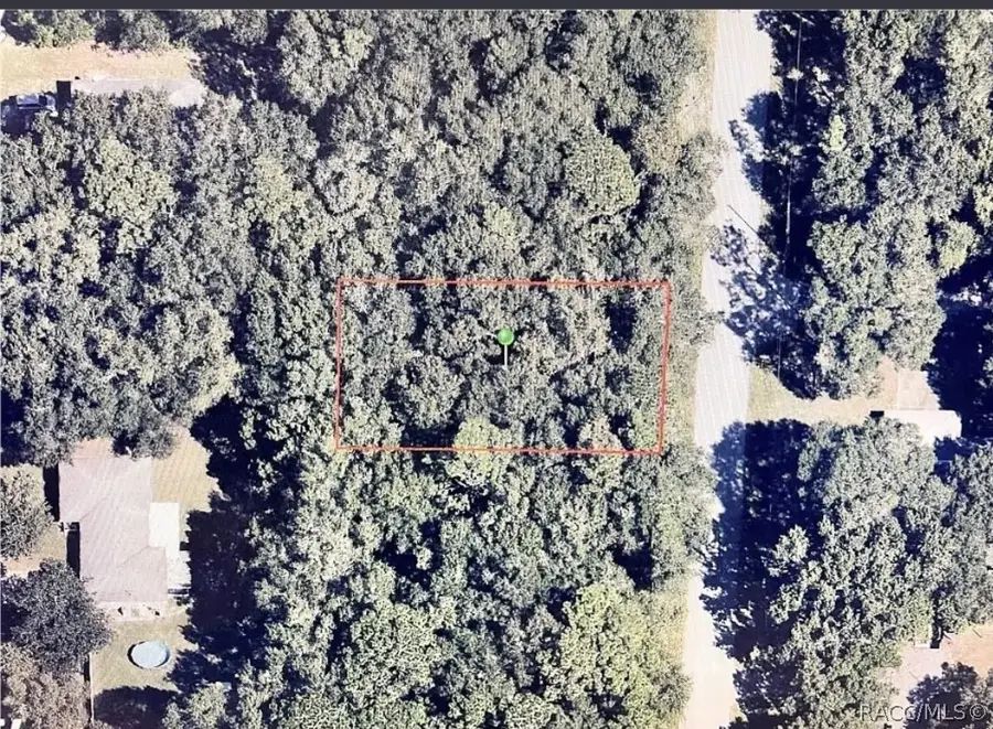 462 N Dugan Avenue, Inverness, FL 34453 - #3