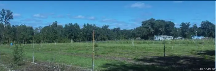 9333 E Bushnell Road, Floral City, FL 34436 - #2