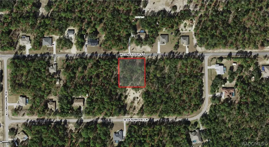 6162 W Conestoga Street, Beverly Hills, FL 34465 - #3