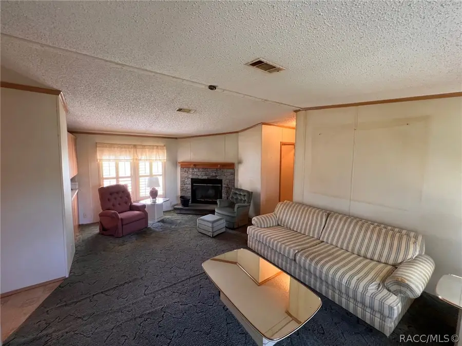 10070 S Arabian Avenue, Floral City, FL 34436 - #3