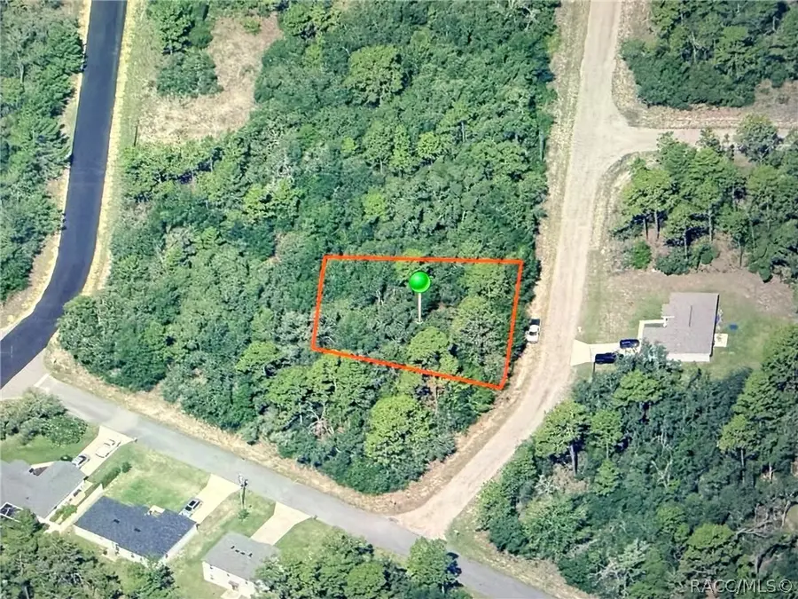 3270 W Yardley Lane, Dunnellon, FL 34433 - #2