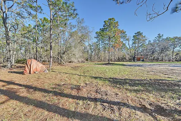 4697 W Mockingbird Street, Homosassa, FL 34446