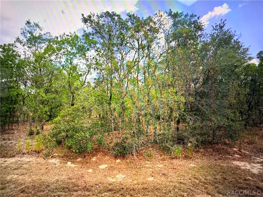 2155 E Cambridge Lane, Inverness, FL 34453 - #3