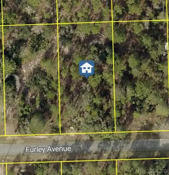 11323 Furley Avenue, Brooksville, FL 34613