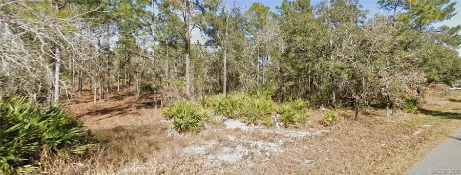 11323 Furley Avenue, Brooksville, FL 34613 - #3