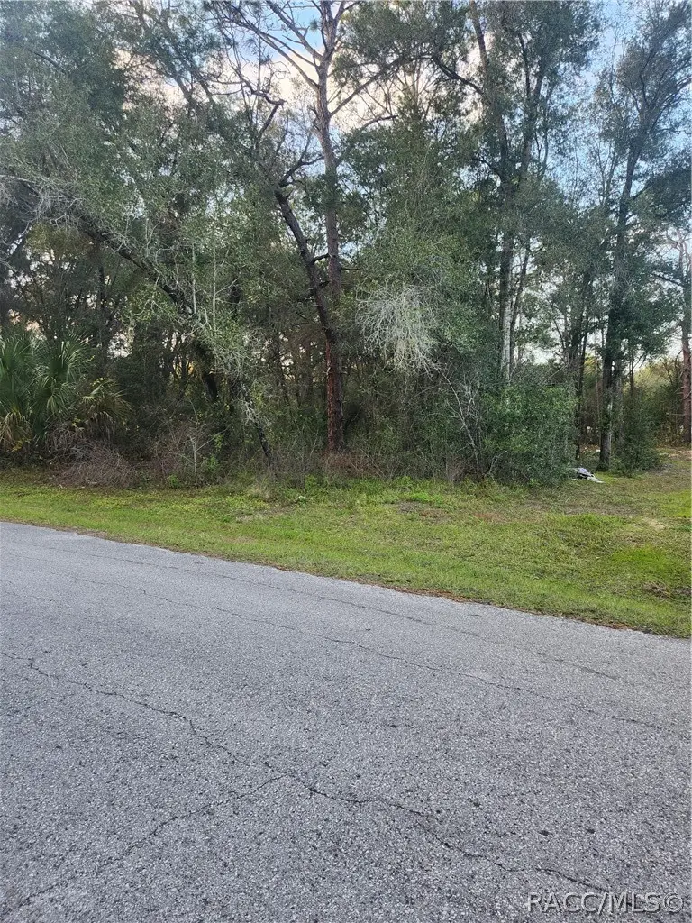 4029 E Walker Street, Inverness, FL 34453 - #2
