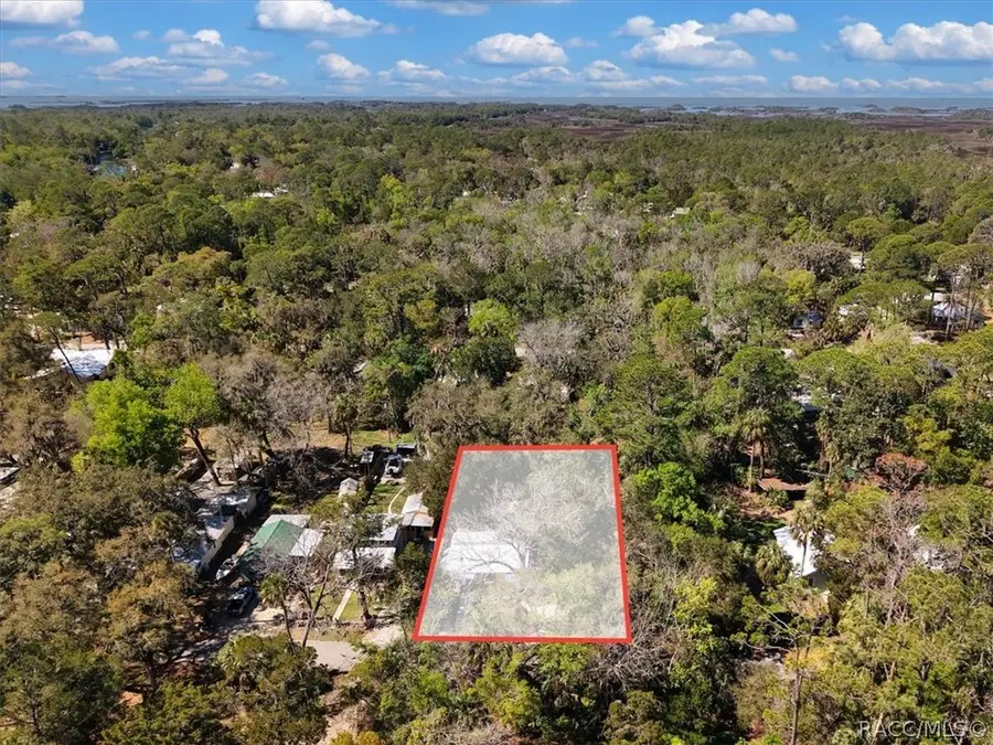 13 62nd Street, Yankeetown, FL 34498 - #3