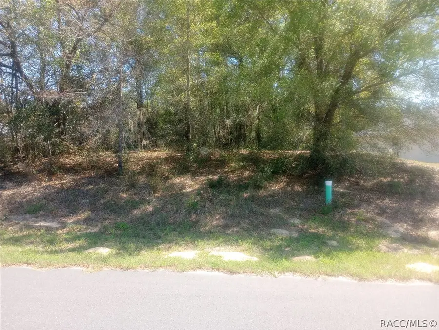 917 Bennington, Inverness, FL 34453 - #2