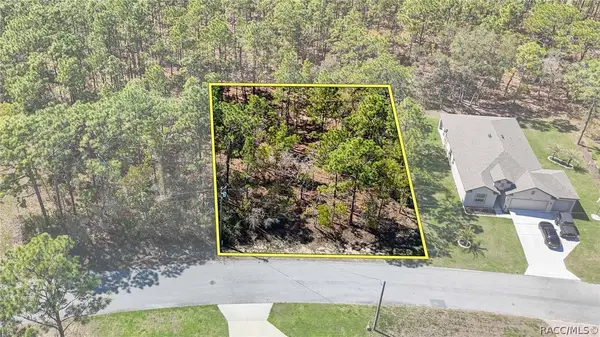 12 Whitewood Court, Homosassa, FL 34446