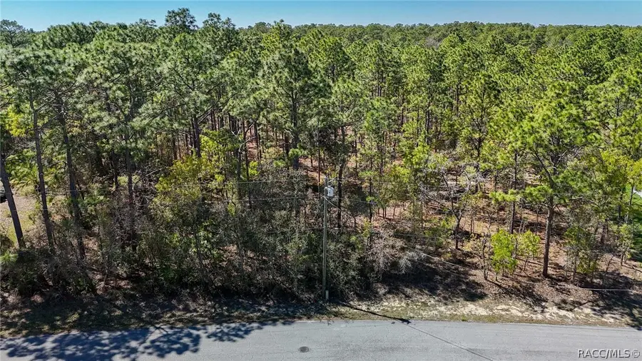 12 Whitewood Court, Homosassa, FL 34446 - #2