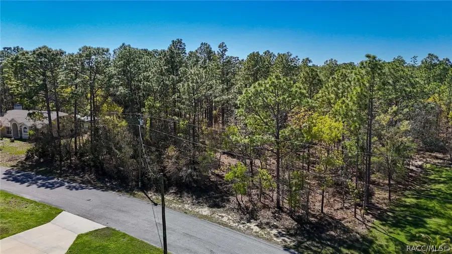 12 Whitewood Court, Homosassa, FL 34446 - #3