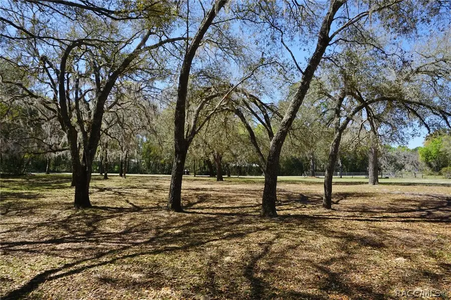 1259 E Wacker Street, Hernando, FL 34442 - #3