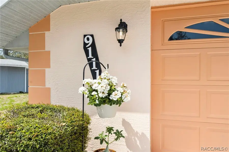 9111 Blaine Road, Spring Hill, FL 34608 - #3