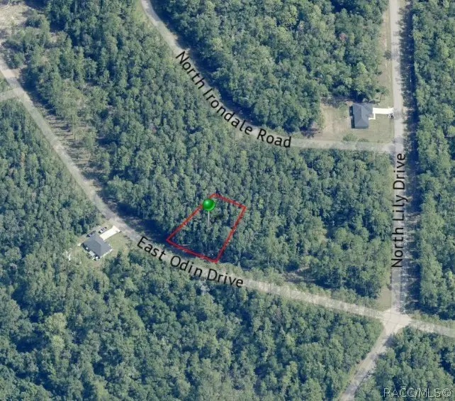 1345 E Odin Drive, Dunnellon, FL 34434 - #2