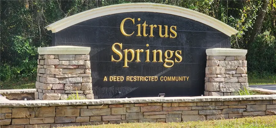 856 W Virginis Drive, Citrus Springs, FL 34434 - #3