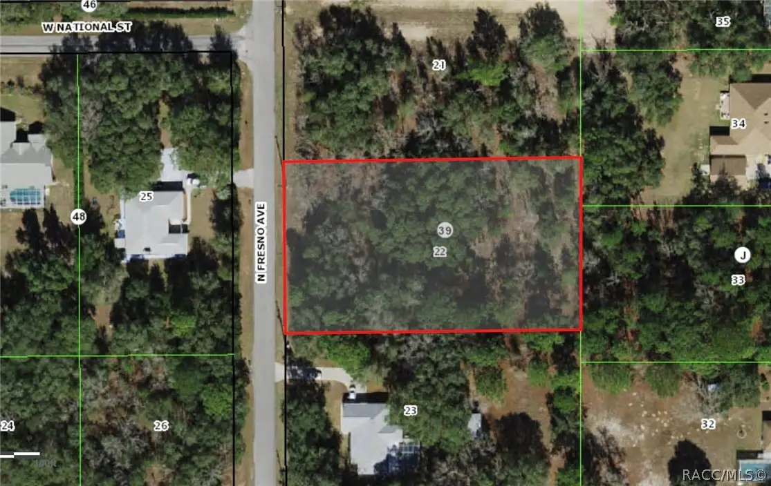 785 N Fresno Avenue, Hernando, FL 34442 - #1