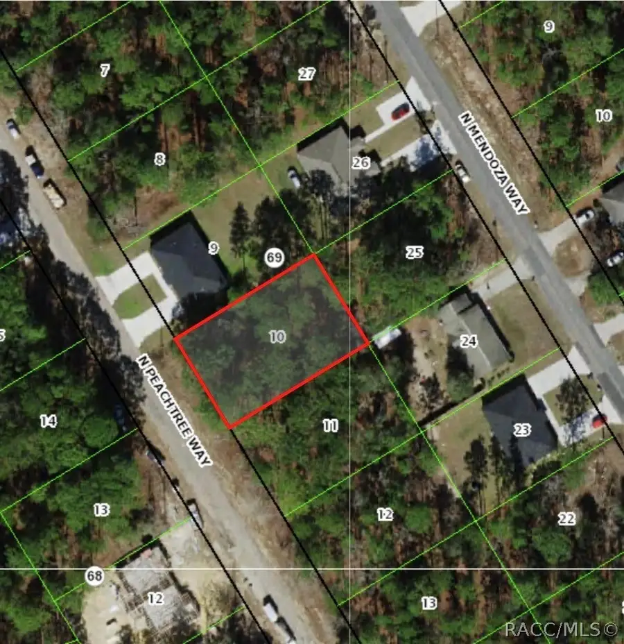 9169 N Peachtree Way, Citrus Springs, FL 34434 - #2