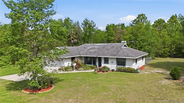3839 W Horace Allen Street, Lecanto, FL 34461