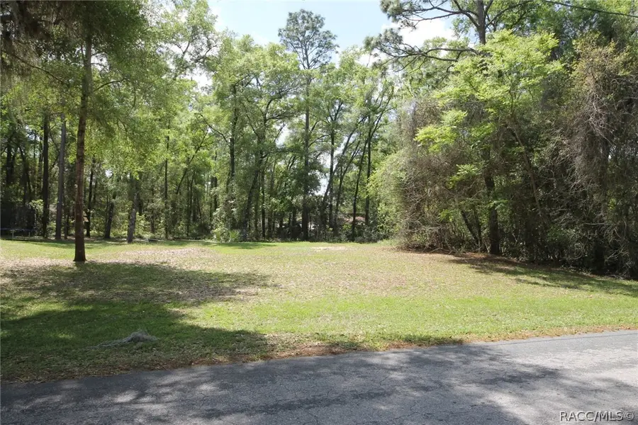5976 E Lynn Street, Inverness, FL 34452 - #3