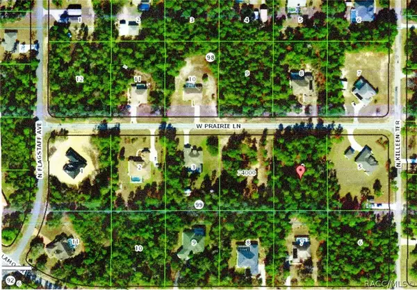 4306 W Prairie Lane, Beverly Hills, FL 34465