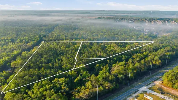 6630 N Treefarm Avenue, Beverly Hills, FL 34465