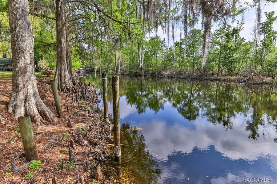 5617 Perch Drive S, Floral City, FL 34436 - #3