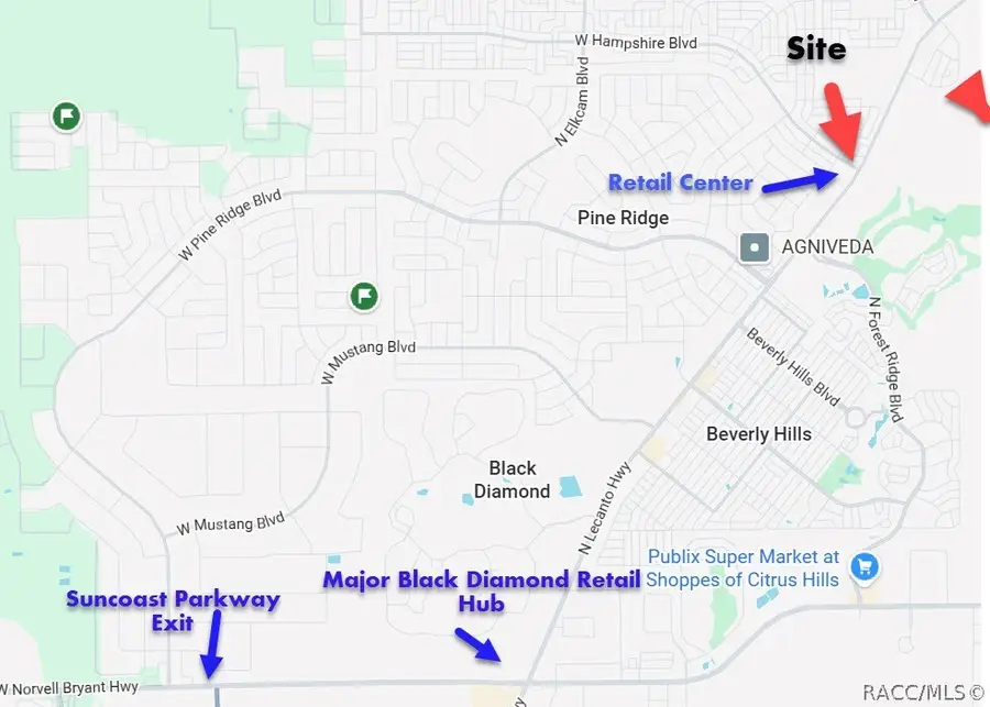 779 W Hampshire Boulevard, Citrus Springs, FL 34434 - #2