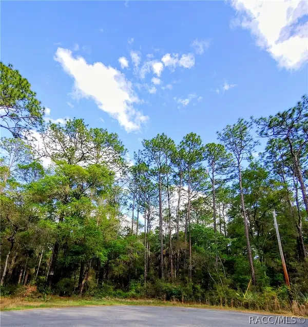 8029 N Pine Haven Point, Crystal River, FL 34428