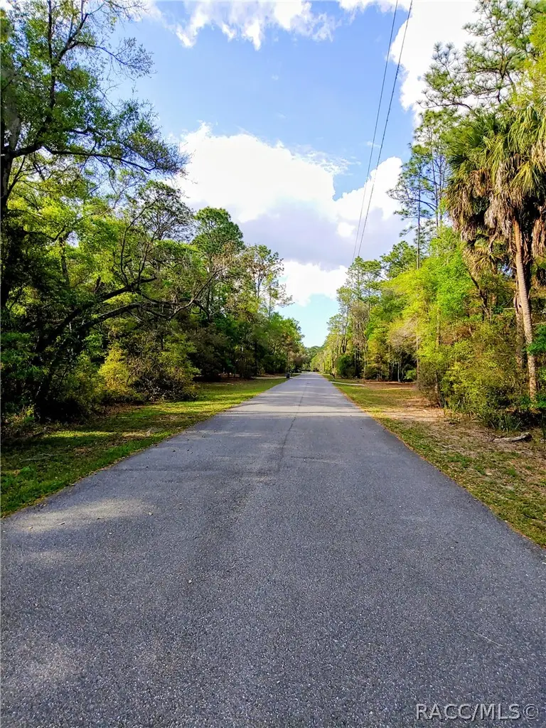 8029 N Pine Haven Point, Crystal River, FL 34428 - #2