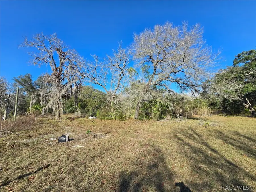 6335 S Tropicana Avenue, Lecanto, FL 34461 - #2