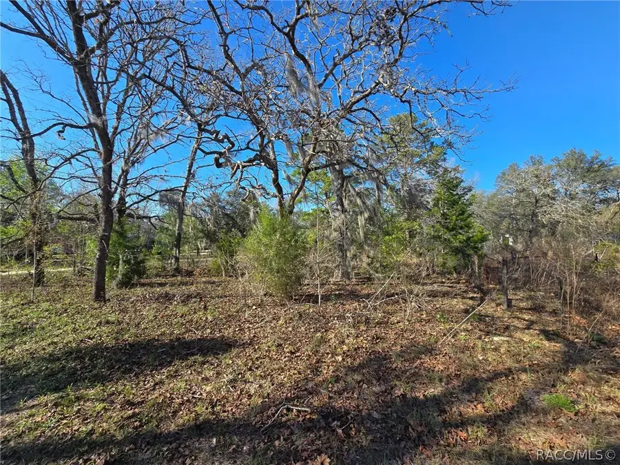 6335 S Tropicana Avenue, Lecanto, FL 34461 - #3