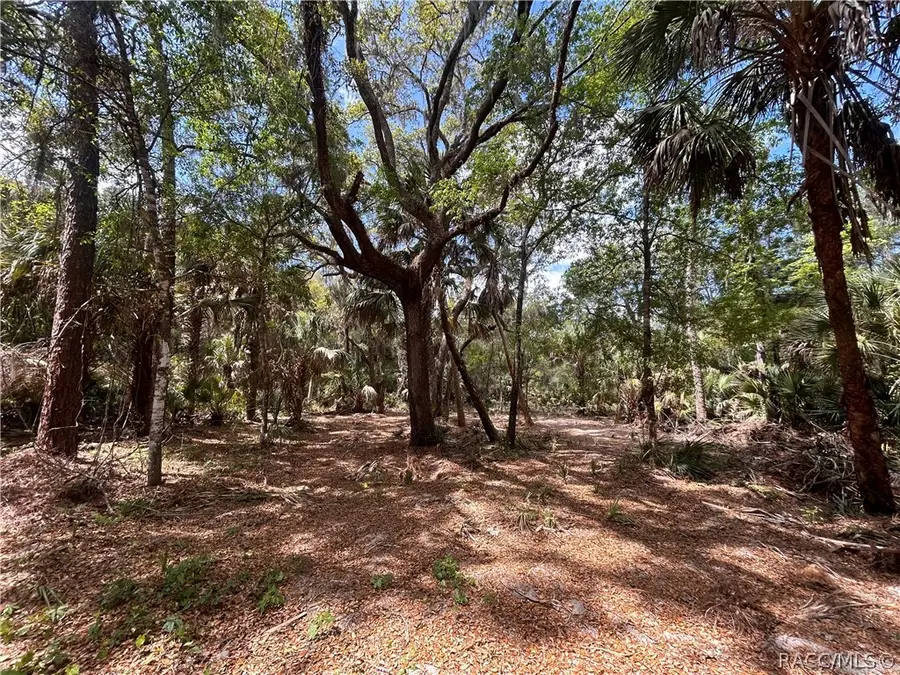 7544 N Bitterroot Drive, Crystal River, FL 34428 - #2