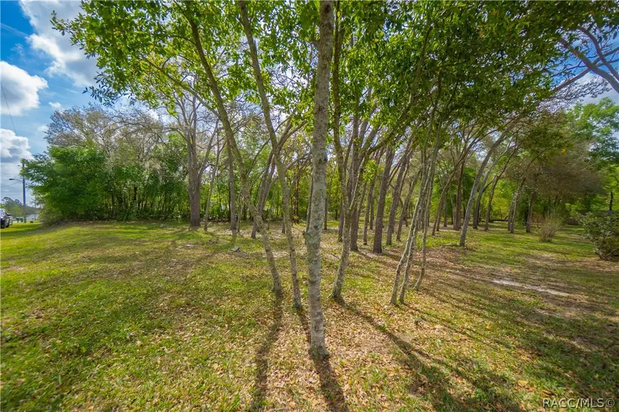 2196 E Celina Street, Inverness, FL 34453 - #3