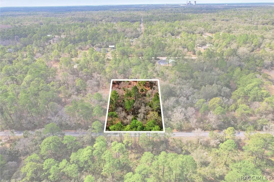 9568 N Dawnflower Avenue, Crystal River, FL 34428 - #1