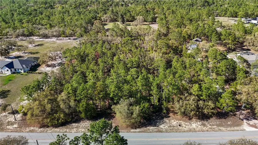 4839 W Mustang Boulevard, Beverly Hills, FL 34465 - #3