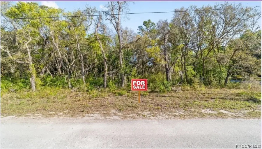 6775 W Stoney Gap Court, Crystal River, FL 34429 - #2